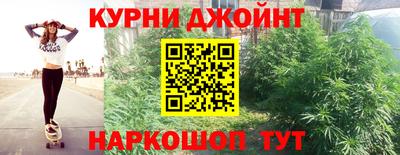 скорость Новозыбков