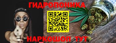 скорость Новозыбков