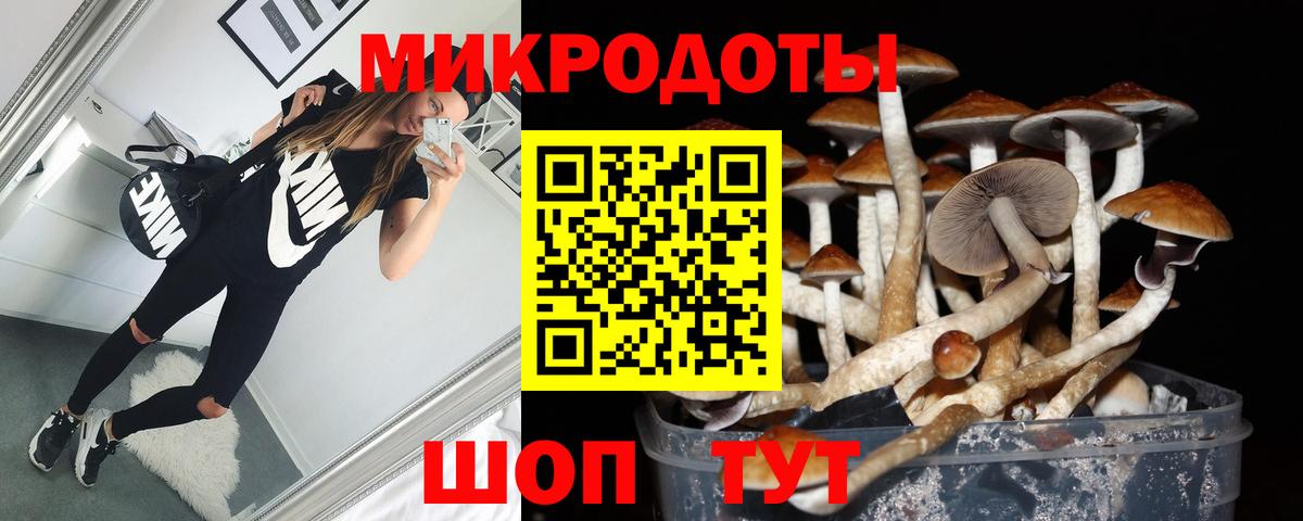 Псилоцибиновые грибы мухоморы Рассказово